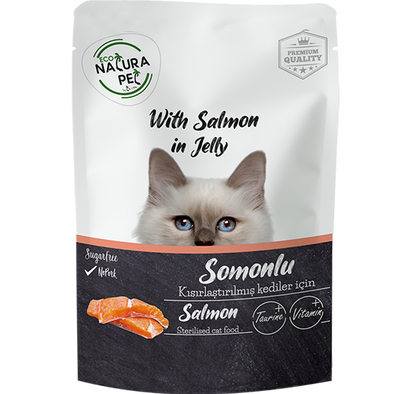 غذای پوچ گربه Natura طعم سالمون وزن 85 گرم